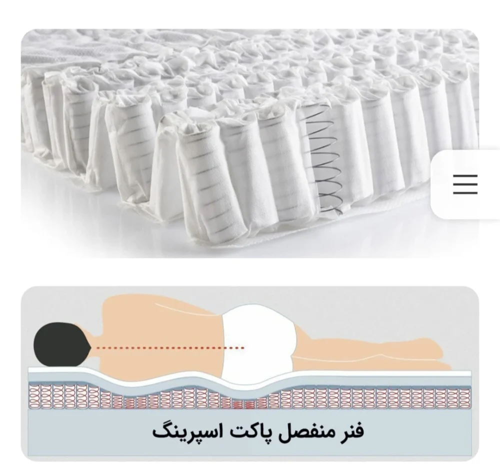 اسکلت پاکتی